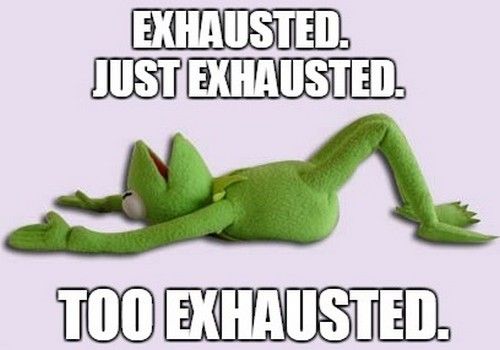 Kermit Exhausted Meme